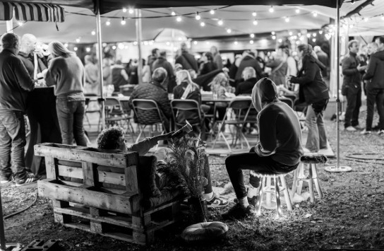 20230923_Bal_Pop_534-Avec accentuation-Bruit (vergroot foto)