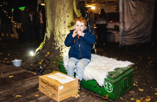 Bal Pop HD-37 (vergroot foto)