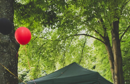 GardenParty_kraainem_21072024-103 (vergroot foto)