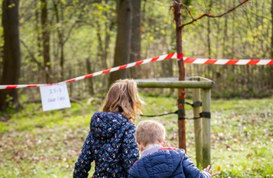  (vergroot foto)
