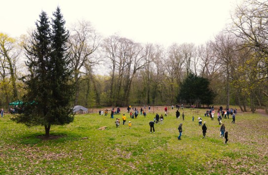 paaseierenraap_2023-37 (vergroot foto)