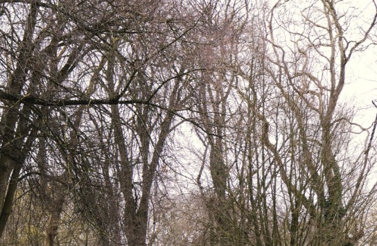 paaseierenraap_2023-34 (vergroot foto)