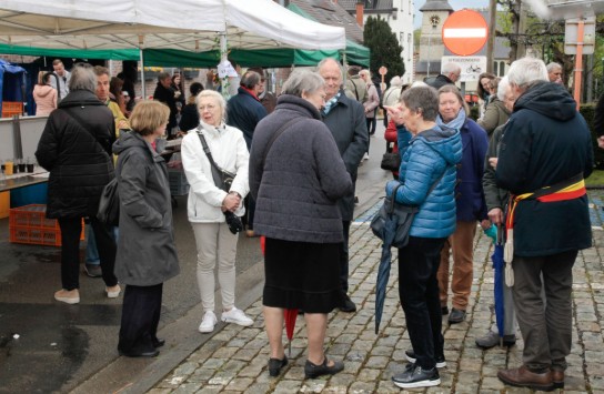 _MG_0290 (vergroot foto)