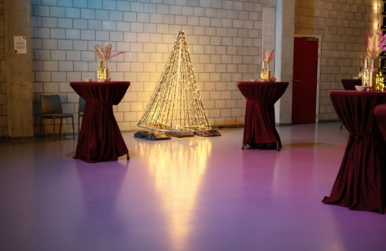 Nieuwjaarsrecepeptie_2025-8 (vergroot foto)