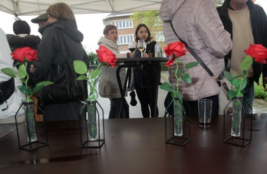 _MG_0049 (vergroot foto)