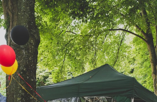 GardenParty_kraainem_21072024-102 (vergroot foto)