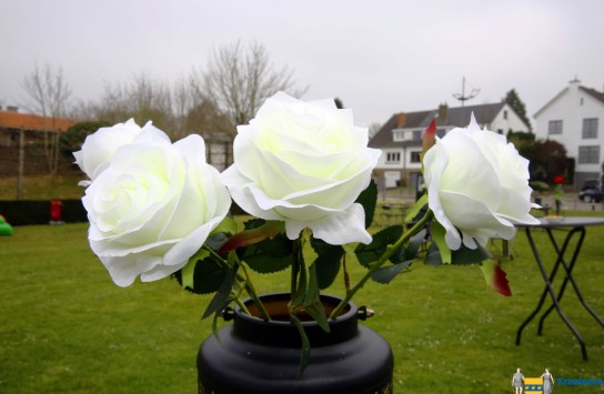 _U3A4504 (vergroot foto)