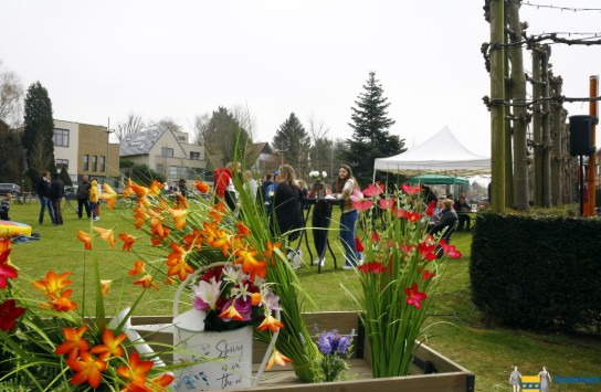 _U3A4550 (vergroot foto)