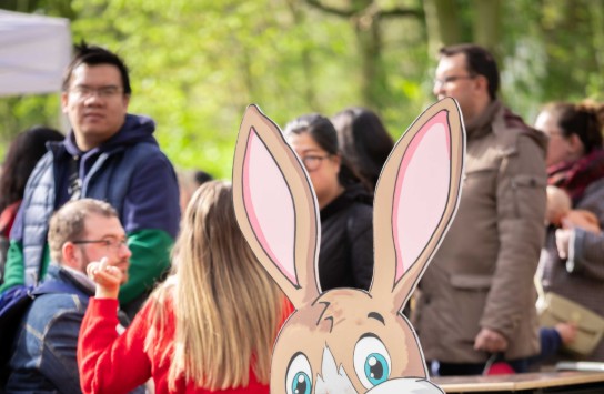  (vergroot foto)