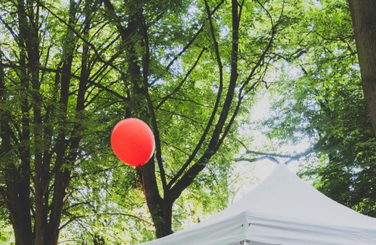 GardenParty_kraainem_21072024-111 (vergroot foto)