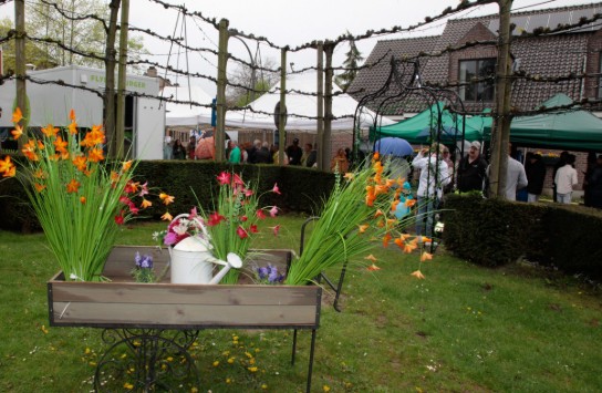 _MG_0135 (vergroot foto)