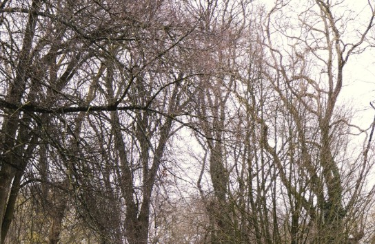 paaseierenraap_2023-33 (vergroot foto)