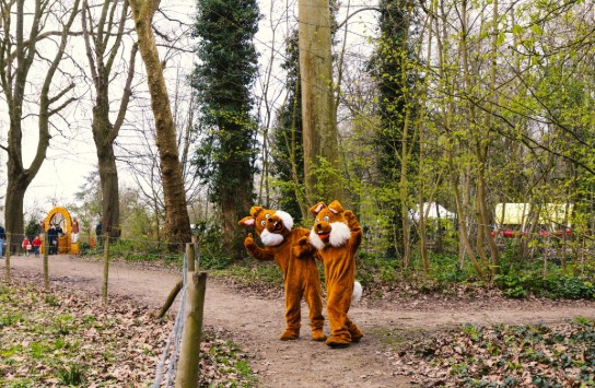 paaseierenraap_2023-12 (vergroot foto)