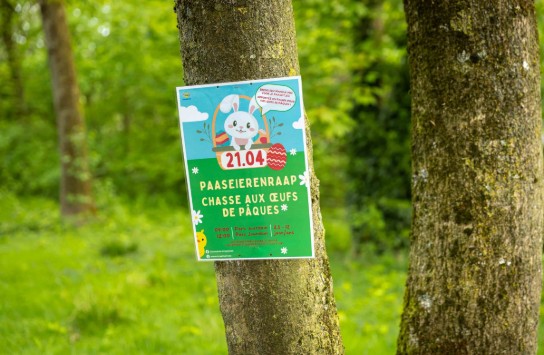 20250421_PASEN_004 (vergroot foto)