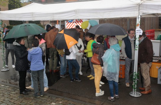 _MG_0087 (vergroot foto)