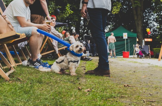 GardenParty_kraainem_21072024-10 (vergroot foto)
