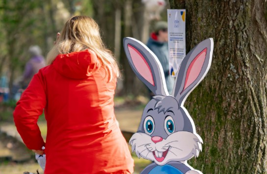  (vergroot foto)
