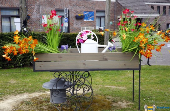 _U3A4493 (vergroot foto)