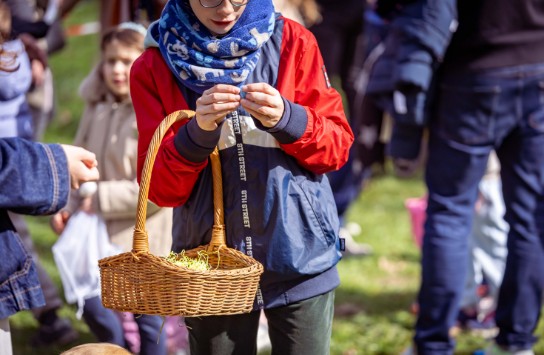  (vergroot foto)