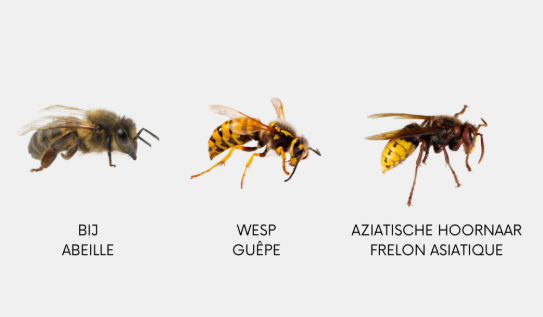 (vergroot foto)